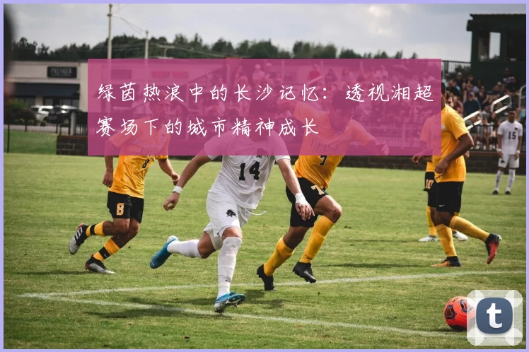 绿茵热浪中的长沙记忆：透视湘超赛场下的城市精神成长