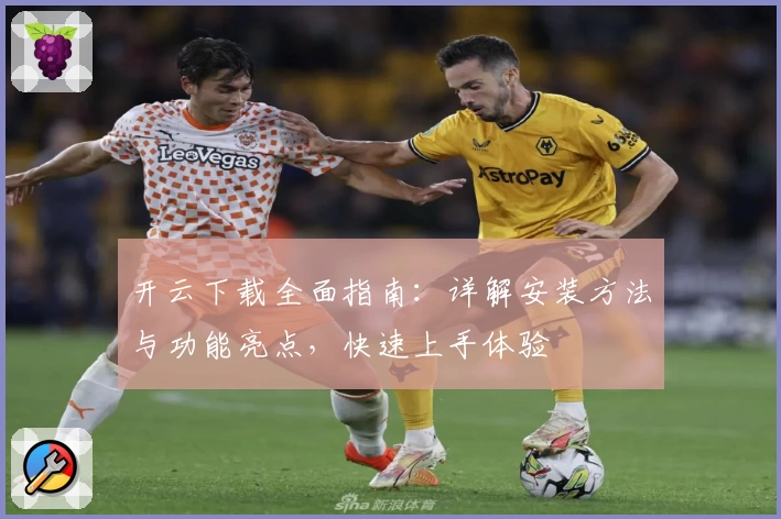 开云下载全面指南：详解安装方法与功能亮点，快速上手体验